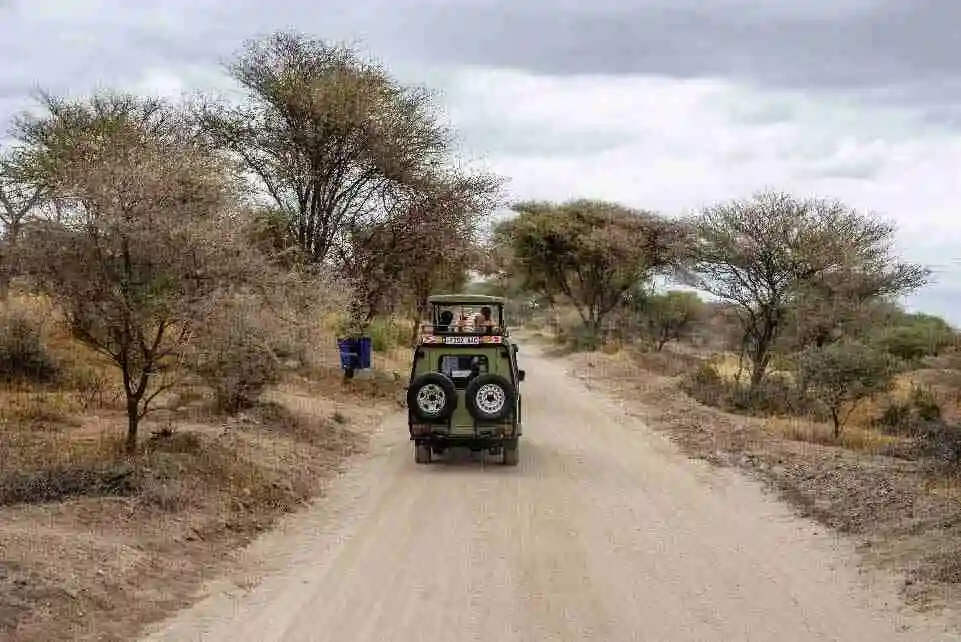 Safari Honeymoon