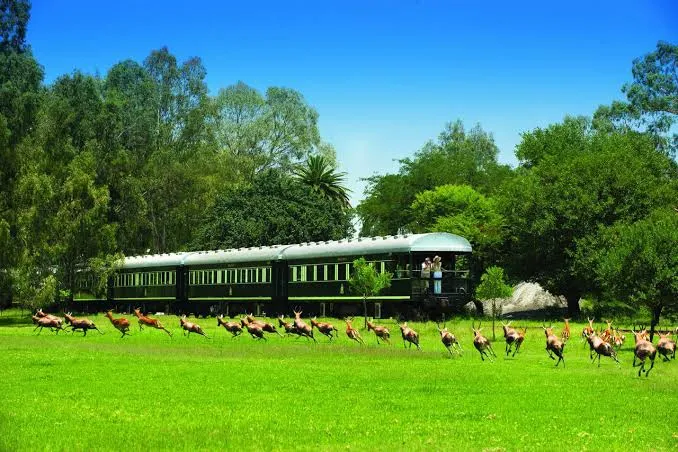 Rovos Rail Tour